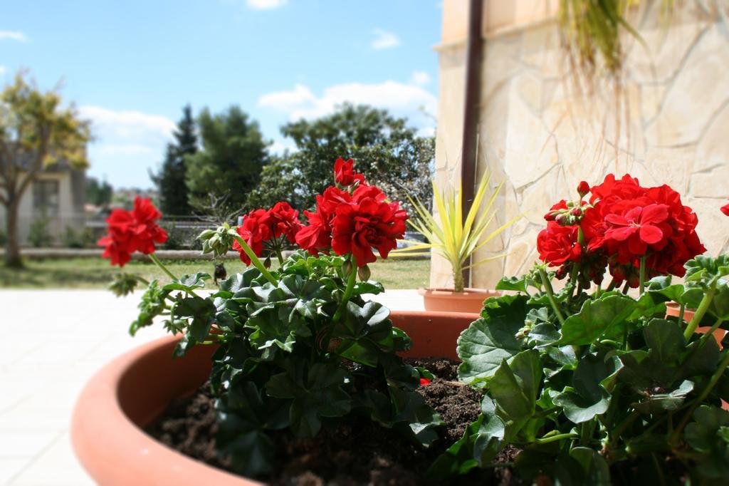 Villa Mara B&B Noto Ngoại thất bức ảnh