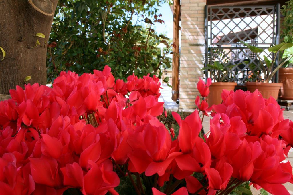 Villa Mara B&B Noto Ngoại thất bức ảnh