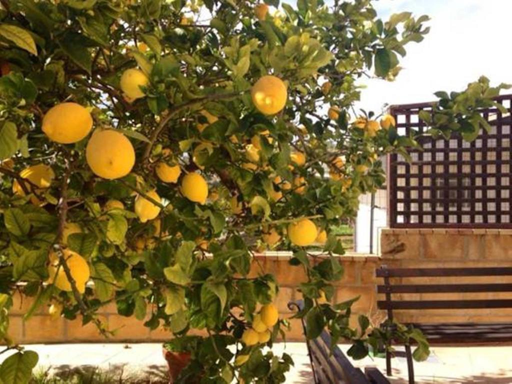 Villa Mara B&B Noto Ngoại thất bức ảnh